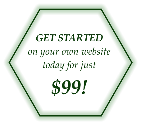 GET STARTEDon your own website today for just  $99!
